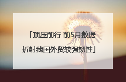 顶压前行 前5月数据折射我国外贸较强韧性