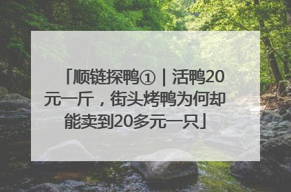 顺链探鸭①｜活鸭20元一斤，街头烤鸭为何却能卖到20多元一只