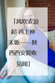 风吹麦浪起 再上神禾塬——陕西西安夏收见闻