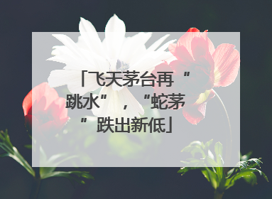 飞天茅台再“跳水”，“蛇茅”跌出新低