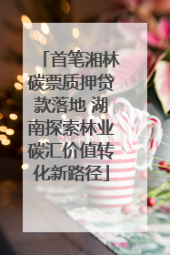 首笔湘林碳票质押贷款落地 湖南探索林业碳汇价值转化新路径