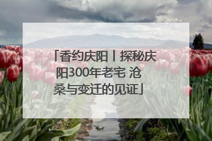 香约庆阳丨探秘庆阳300年老宅 沧桑与变迁的见证