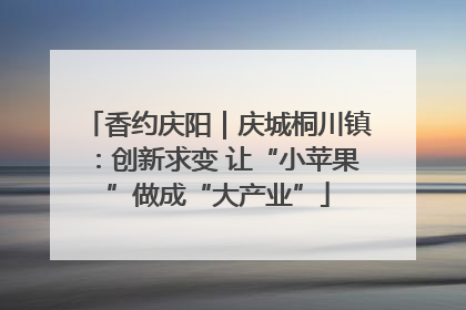 香约庆阳｜庆城桐川镇：创新求变 让“小苹果”做成“大产业”