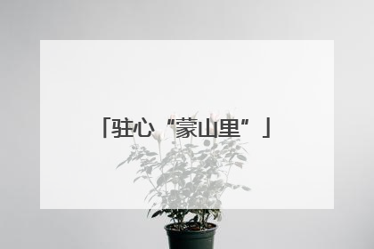 驻心“蒙山里”