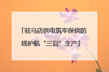 驻马店供电筑牢保供防线护航“三夏”生产