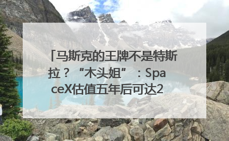 马斯克的王牌不是特斯拉？“木头姐”：SpaceX估值五年后可达2.5万亿美元！