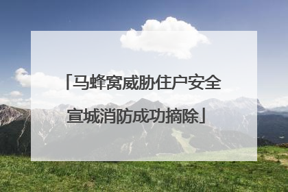马蜂窝威胁住户安全 宣城消防成功摘除