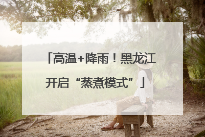 高温+降雨！黑龙江开启“蒸煮模式”