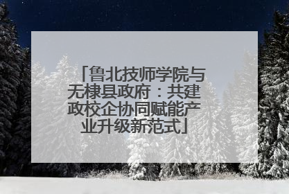 鲁北技师学院与无棣县政府：共建政校企协同赋能产业升级新范式
