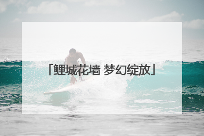 鲤城花墙 梦幻绽放