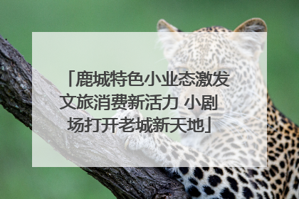 鹿城特色小业态激发文旅消费新活力 小剧场打开老城新天地