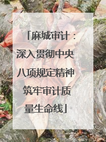 麻城审计：深入贯彻中央八项规定精神 筑牢审计质量生命线