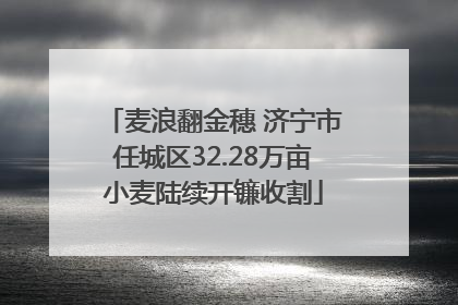 麦浪翻金穗 济宁市任城区32.28万亩小麦陆续开镰收割