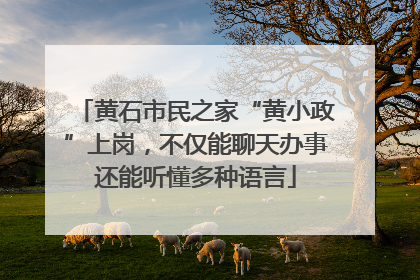 黄石市民之家“黄小政”上岗，不仅能聊天办事还能听懂多种语言