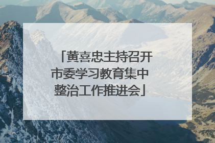 黄喜忠主持召开市委学习教育集中整治工作推进会