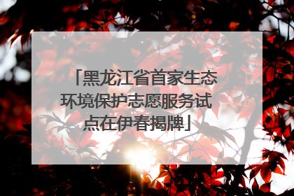 黑龙江省首家生态环境保护志愿服务试点在伊春揭牌