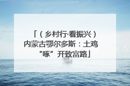 （乡村行·看振兴）内蒙古鄂尔多斯：土鸡“啄”开致富路