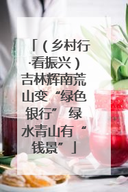 （乡村行·看振兴）吉林辉南荒山变“绿色银行” 绿水青山有“钱景”