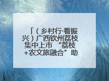 （乡村行·看振兴）广西钦州荔枝集中上市 “荔枝+农文旅融合”助农增收