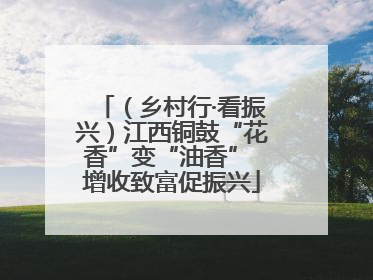 （乡村行·看振兴）江西铜鼓“花香”变“油香” 增收致富促振兴