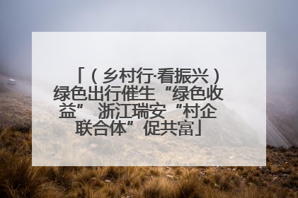 （乡村行·看振兴）绿色出行催生“绿色收益” 浙江瑞安“村企联合体”促共富
