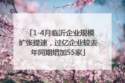 1-4月临沂企业规模扩张提速，过亿企业较去年同期增加55家