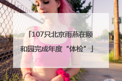 107只北京雨燕在颐和园完成年度“体检”