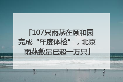 107只雨燕在颐和园完成“年度体检”，北京雨燕数量已超一万只
