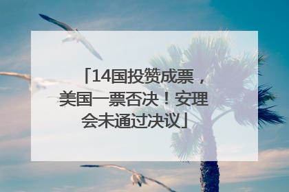 14国投赞成票，美国一票否决！安理会未通过决议