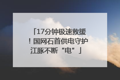 17分钟极速救援！国网石首供电守护江豚不断“电”