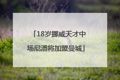 18岁挪威天才中场尼潘将加盟曼城