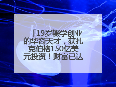 19岁辍学创业的华裔天才，获扎克伯格150亿美元投资！财富已达20亿美元！