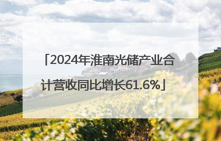 2024年淮南光储产业合计营收同比增长61.6%
