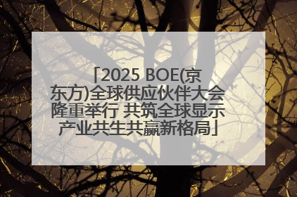 2025 BOE(京东方)全球供应伙伴大会隆重举行 共筑全球显示产业共生共赢新格局