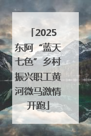 2025东阿“蓝天七色”乡村振兴职工黄河微马激情开跑