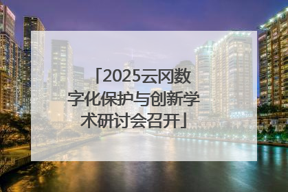 2025云冈数字化保护与创新学术研讨会召开