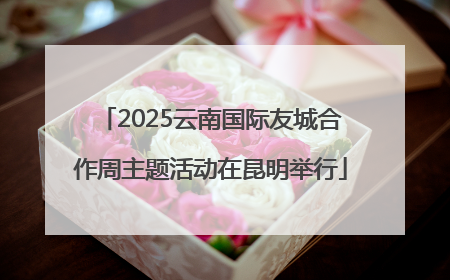 2025云南国际友城合作周主题活动在昆明举行