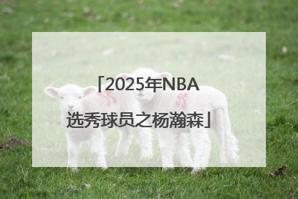 2025年NBA选秀球员之杨瀚森