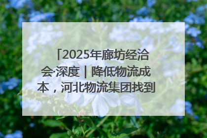 2025年廊坊经洽会·深度｜降低物流成本，河北物流集团找到一把“金钥匙”