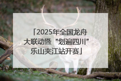 2025年全国龙舟大联动暨“划遍四川”乐山夹江站开赛