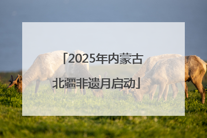2025年内蒙古北疆非遗月启动