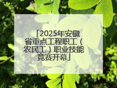 2025年安徽省重点工程职工（农民工）职业技能竞赛开幕