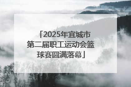 2025年宜城市第二届职工运动会篮球赛圆满落幕