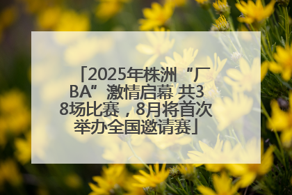 2025年株洲“厂BA”激情启幕 共38场比赛，8月将首次举办全国邀请赛