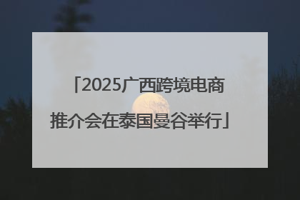 2025广西跨境电商推介会在泰国曼谷举行