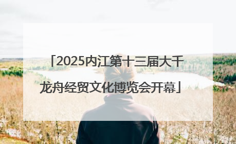 2025内江第十三届大千龙舟经贸文化博览会开幕