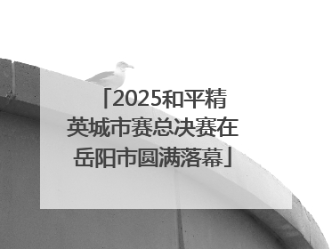 2025和平精英城市赛总决赛在岳阳市圆满落幕