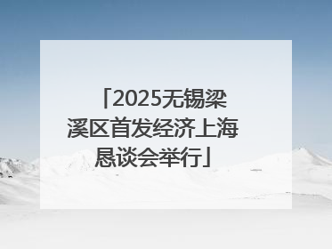 2025无锡梁溪区首发经济上海恳谈会举行