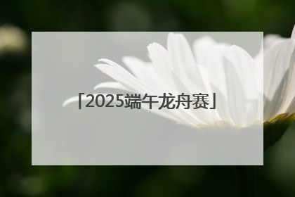 2025端午龙舟赛