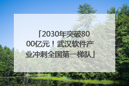 2030年突破8000亿元！武汉软件产业冲刺全国第一梯队